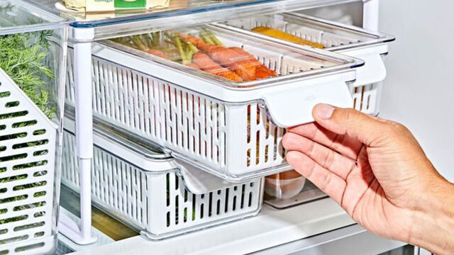 Greensaver vershoudbox OXO